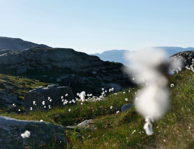LOCATION: FOLGEFONNA