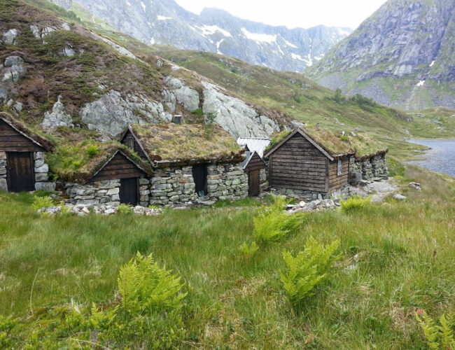 LOCATION: FOLGEFONNA