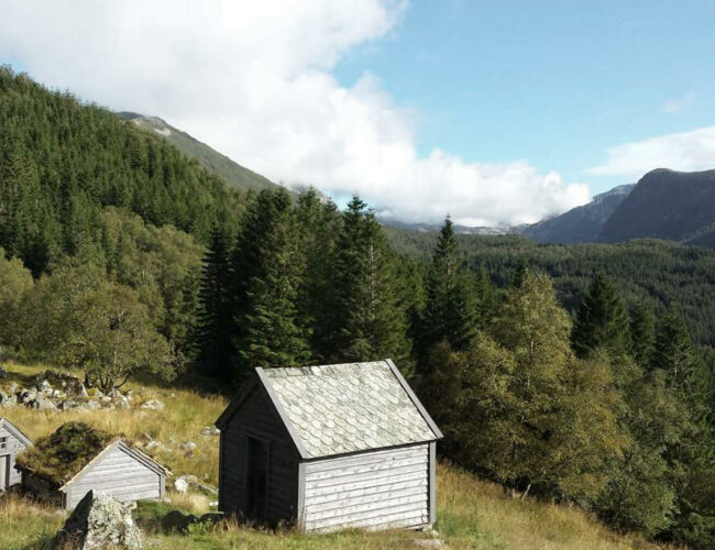 LOCATION: FOLGEFONNA